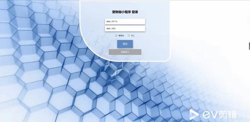 基于SpringBoot與微信小程序的寵物門店綜合服務(wù)平臺設(shè)計(jì)與實(shí)現(xiàn)